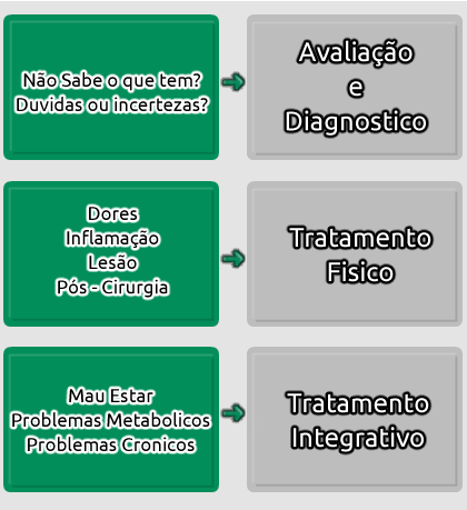 Diagrama ilustrando soluções de saúde por meio de uma abordagem multidisciplinar